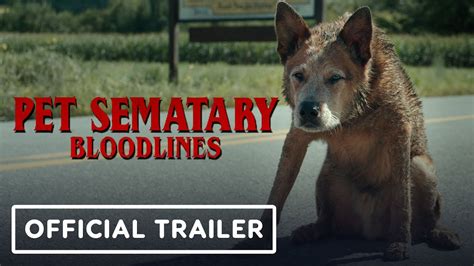 pet sematary: bloodlines gomovies|PET SEMATARY: BLOODLINES Official Trailer (2023) Horror .